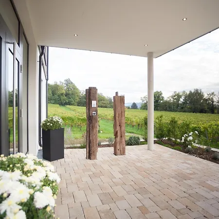 Weinvilla Vollmayer 4* Hilzingen