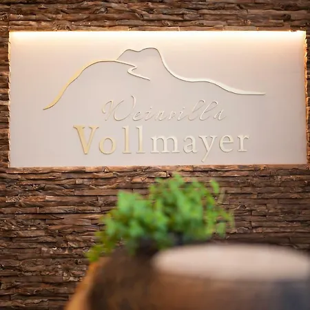 Weinvilla Vollmayer Guest house Hilzingen