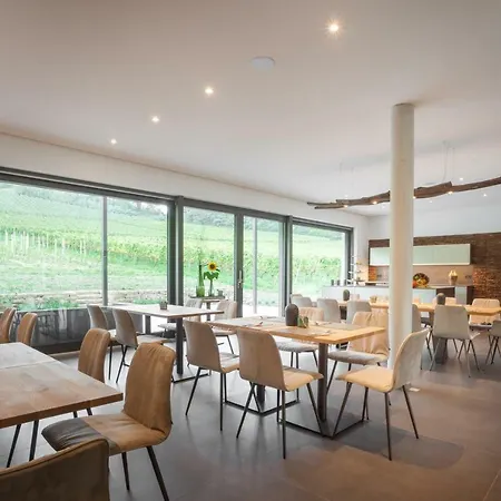 Weinvilla Vollmayer Penzion Hilzingen