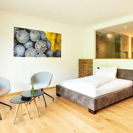 Weinvilla Vollmayer Guest house Hilzingen