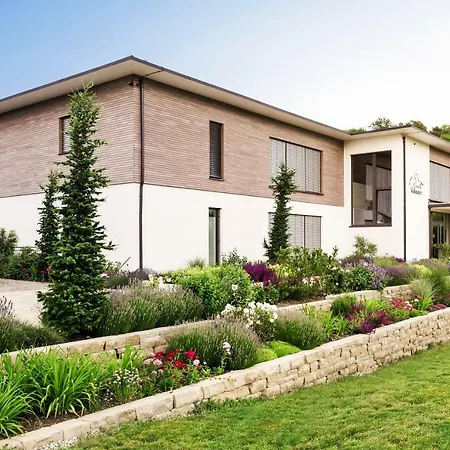 Weinvilla Vollmayer Guest house