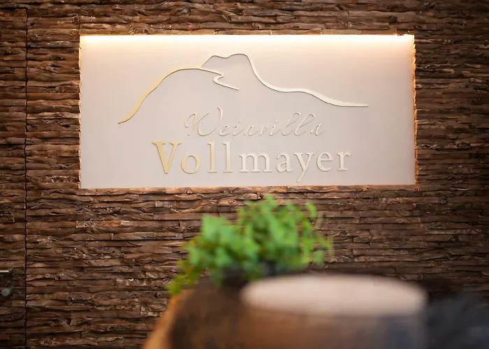 Weinvilla Vollmayer Πανσιόν Hilzingen