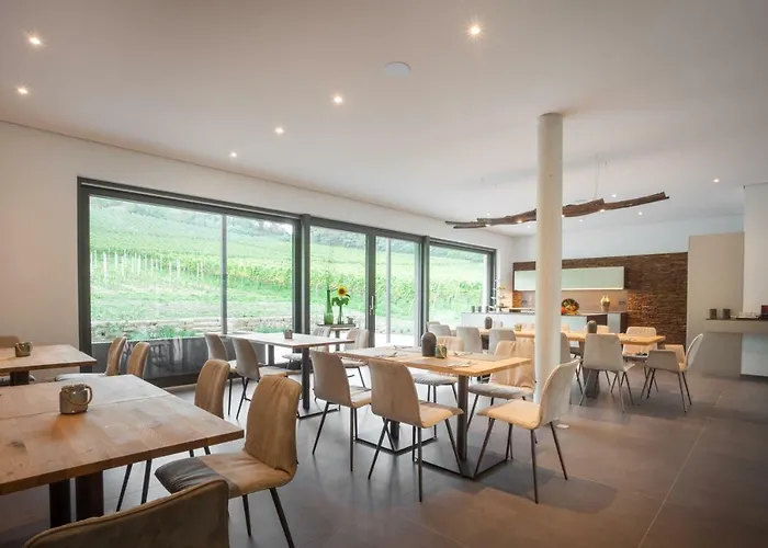 Weinvilla Vollmayer Πανσιόν Hilzingen